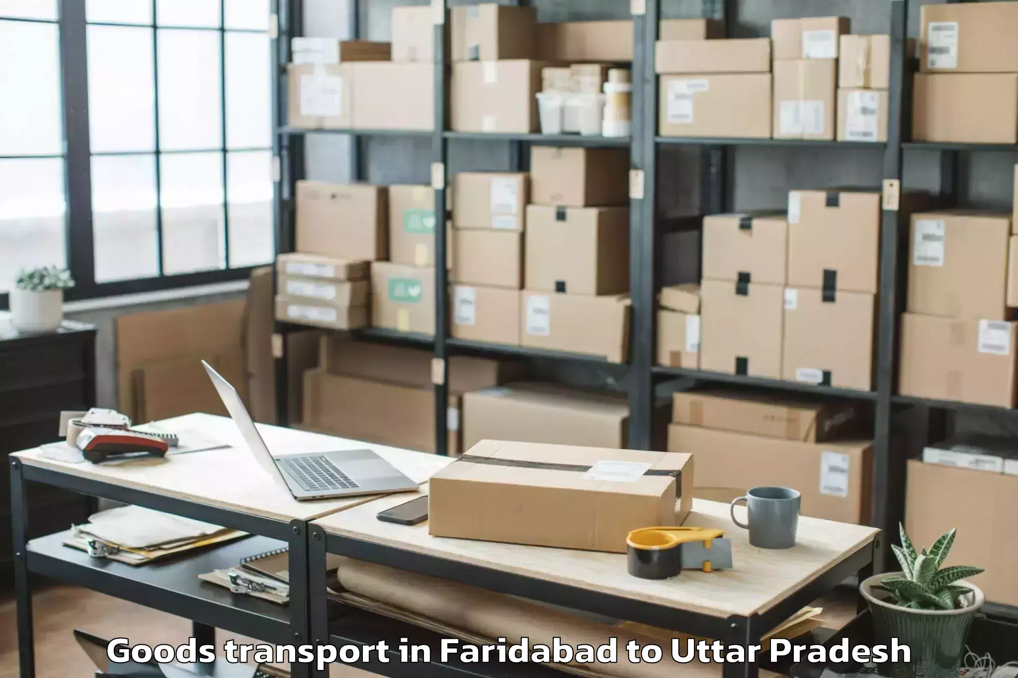 Professional Faridabad to Baberu Goods Transport